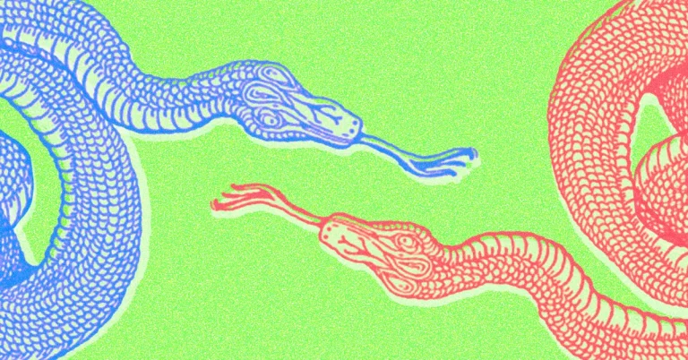 In Politics, Contempt Is a Common Tongue In Politics, Contempt Is a Common Tongue