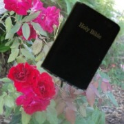 Bible Blog Bible Blog