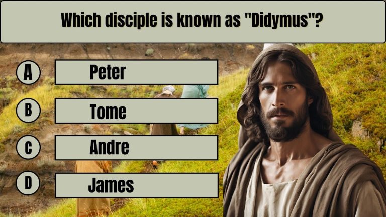 10 NEW TESTAMENT TRIVIA:A Quiz That Will Surprise You! 10 NEW TESTAMENT TRIVIA:A Quiz That Will Surprise You!
