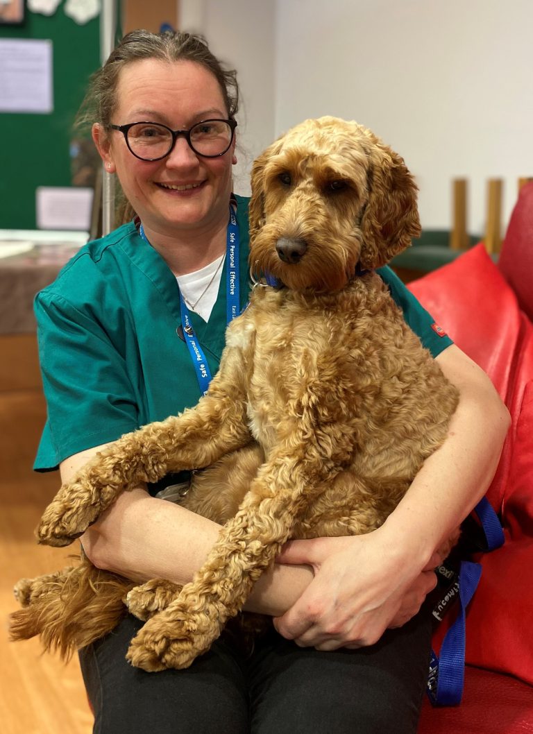 Chaplain’s NHS therapy dog wins ‘Dog of the Year’ award Chaplain's NHS therapy dog wins 'Dog of the Year' award