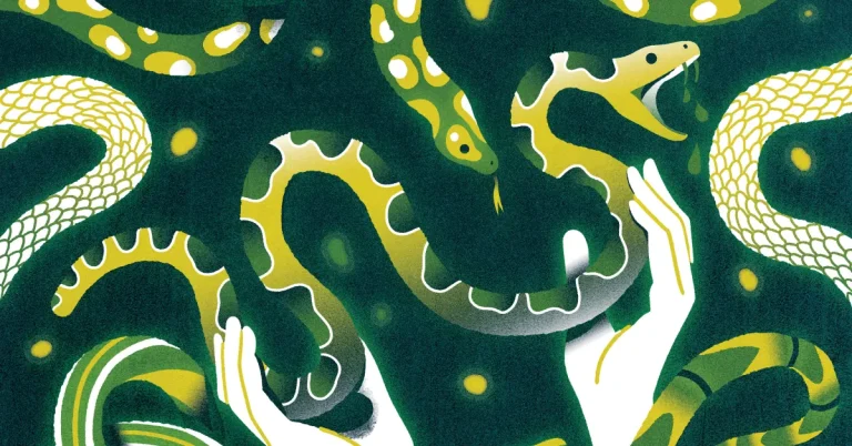 Picking up Snakes and Putting Down Roots