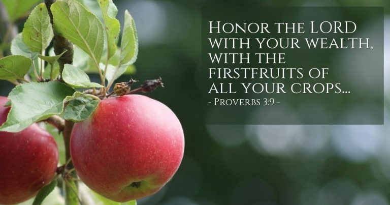 Proverbs 3:9 — Today’s Verse for Sunday, November 9, 2025 Proverbs 3:9 — Today's Verse for Sunday, November 9, 2025