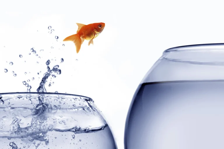 We Can’t Grow If We Can’t Let Go (November 4) We Can’t Grow If We Can’t Let Go (November 4)