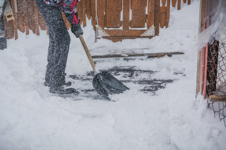 Christmas in Everyday Life Christmas in Everyday Life