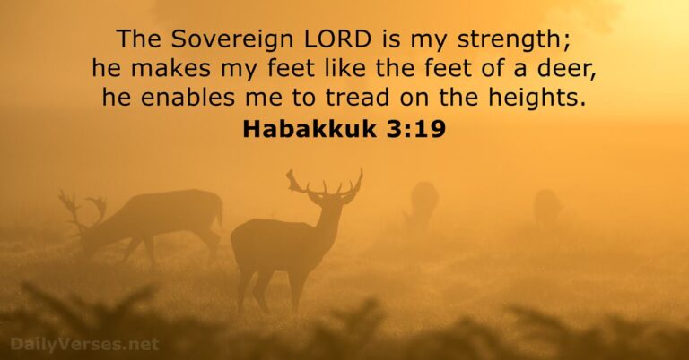 December 6, 2025 – Bible verse of the day Habakkuk 3:19