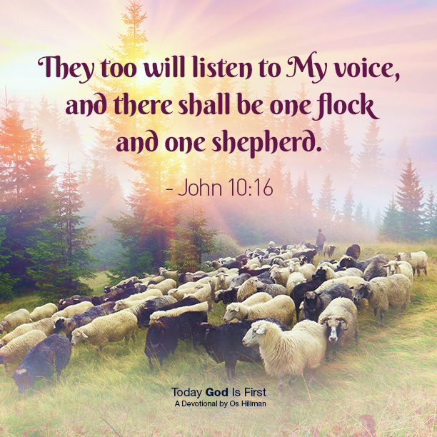 One Flock, One Shepherd – Today God Is First One Flock, One Shepherd - Today God Is First