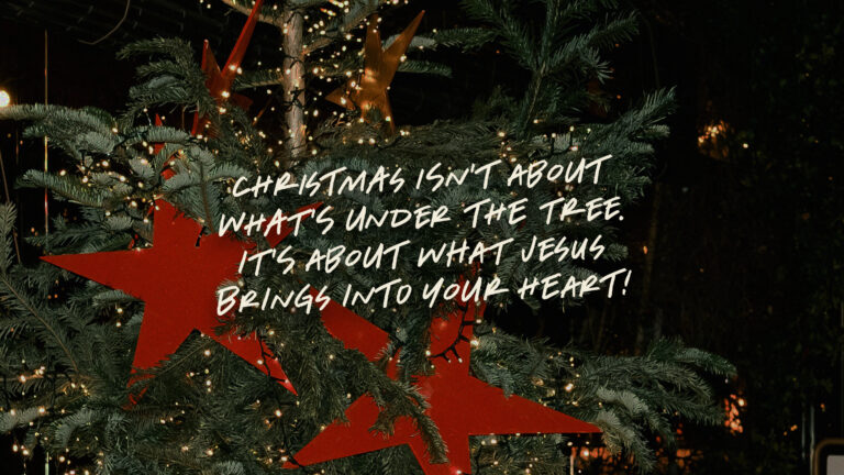 Peace Wrapped in a Savior