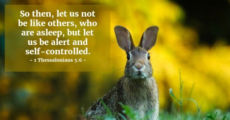 Today's Verse – 1 Thessalonians 5:6 Today's Verse - 1 Thessalonians 5:6