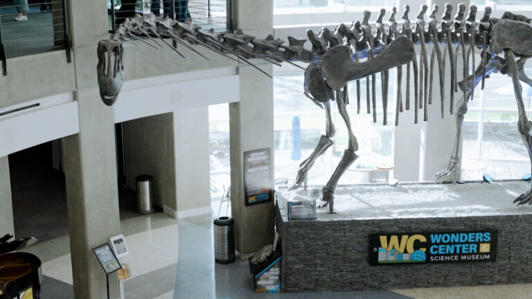 ‘You’re Not a Cosmic Accident’: Unique Creation Museum Reveals Where Faith and Science Meet 'You're Not a Cosmic Accident': Unique Creation Museum Reveals Where Faith and Science Meet