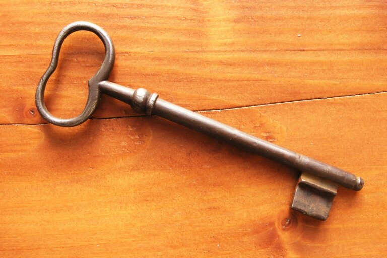 A Key That Opens Many Doors (January 11) A Key That Opens Many Doors (January 11)