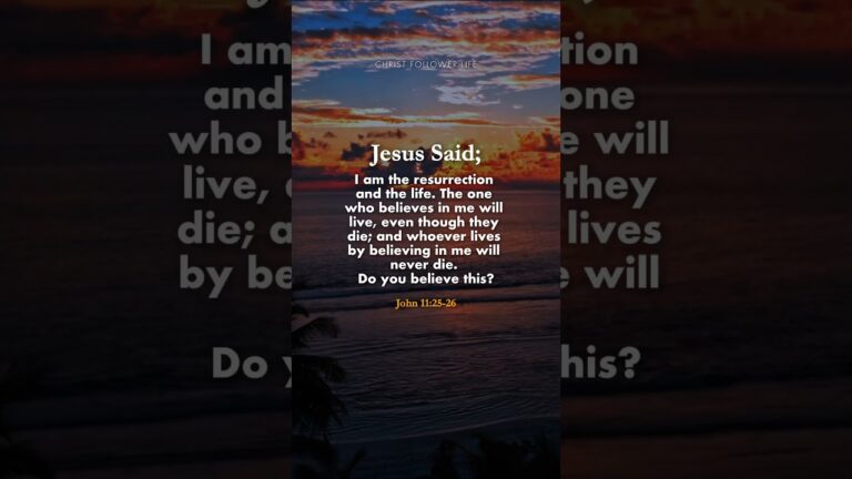 Bible Verse for Today ✝️ Jesus Is the Resurrection and the Life #bible #jesuschrist #resurrection