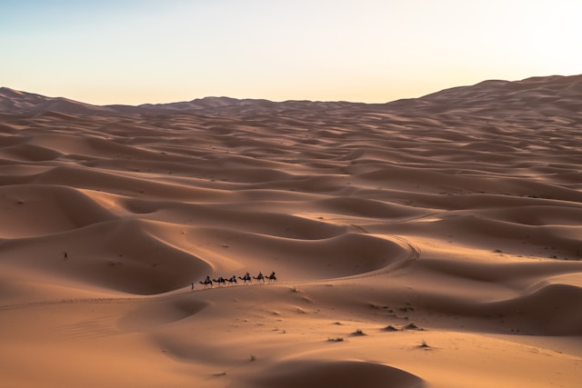 Epiphany: where in the Orient did the wise men come from? Epiphany: where in the Orient did the wise men come from?