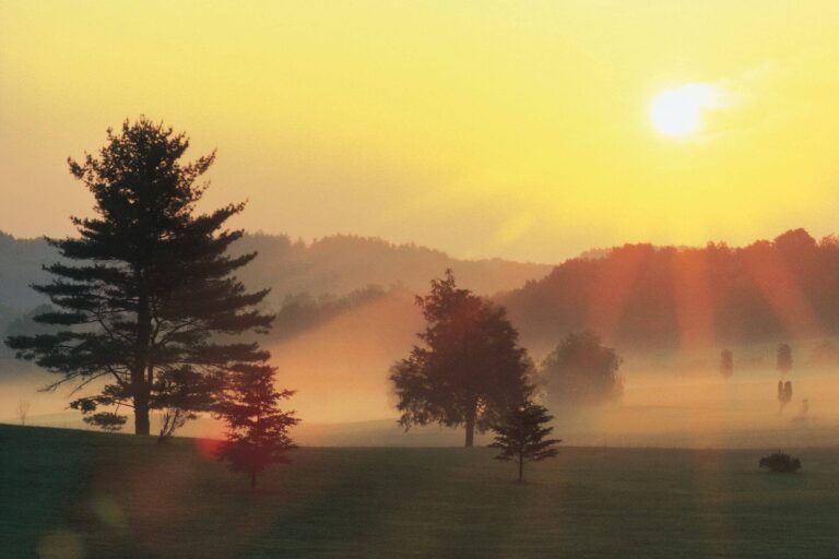 In the Image of God (January 2)