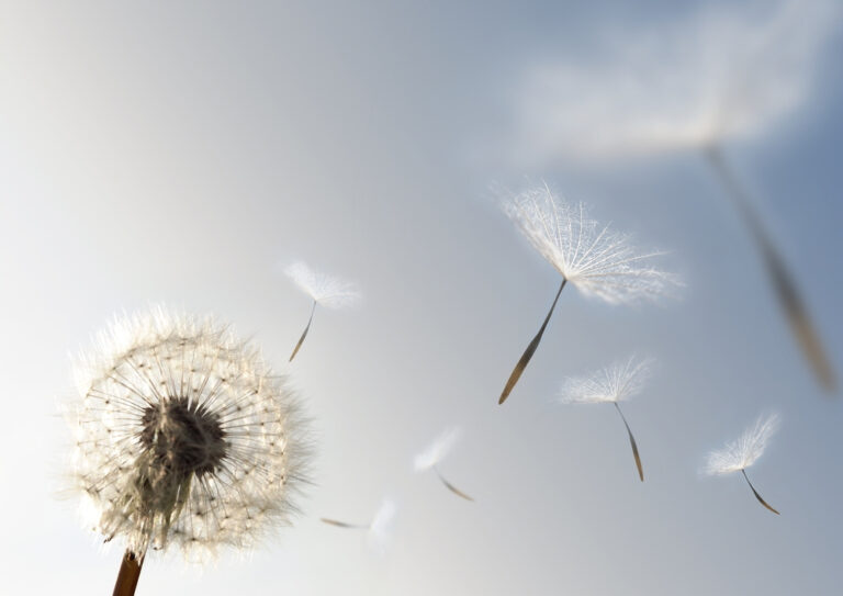 Letting Go of What Was Letting Go of What Was