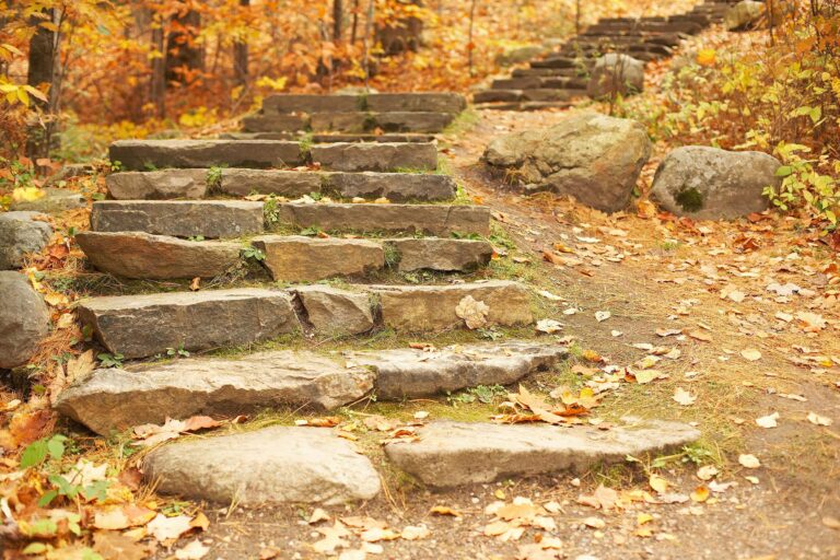Small Steps That Lead to Great Understanding (January 29) Small Steps That Lead to Great Understanding (January 29)