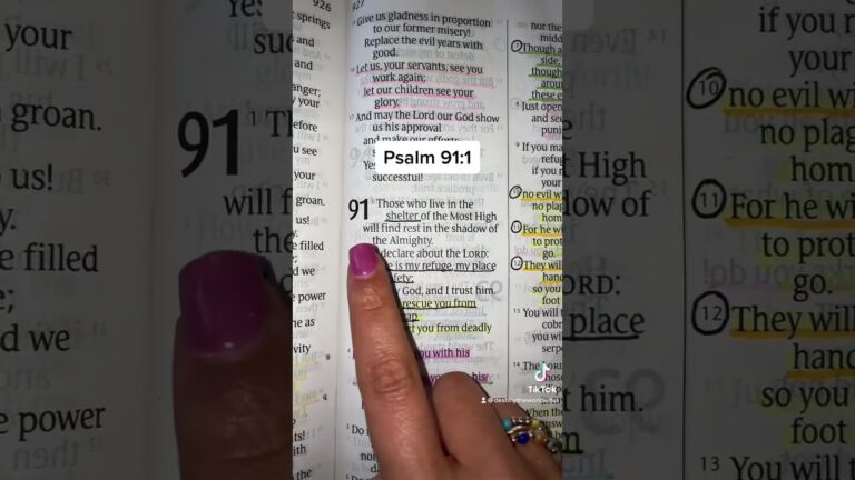 🕊️ The Secret Place of Safety (Psalm 91:1)