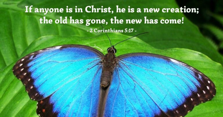Today's Verse - 2 Corinthians 5:17