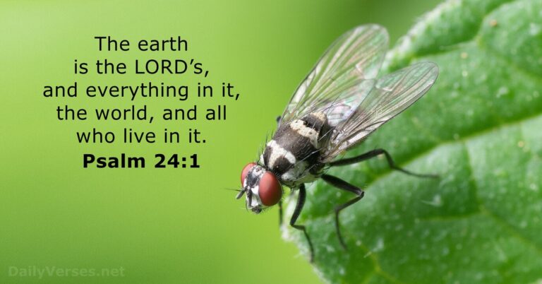 Psalm 24:1