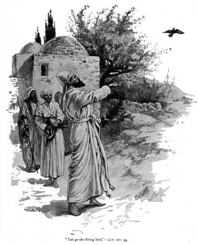 February 21st Chronological Bible Readings – Chronological Bible Blog Leviticus_bird