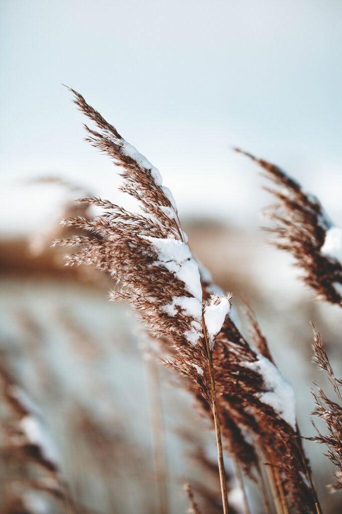 Suffering faith requires a special kind of endurance Suffering faith requires a special kind of endurance