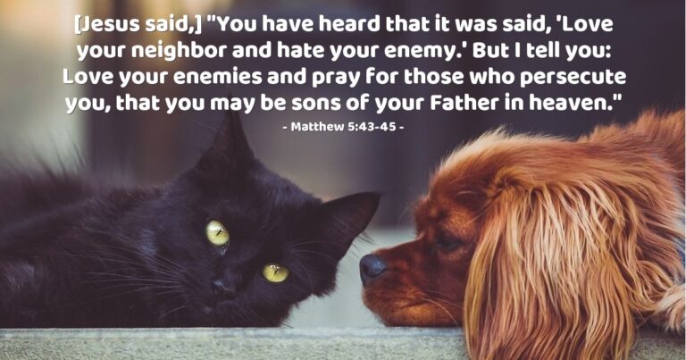 Today's Verse - Matthew 5:43-45
