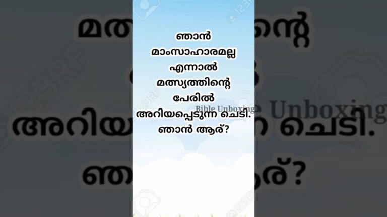 #shorts Bible Fun Quiz Malayalam | Malayalam Bible Quiz @Bibleunboxing #bible #quiz #funny