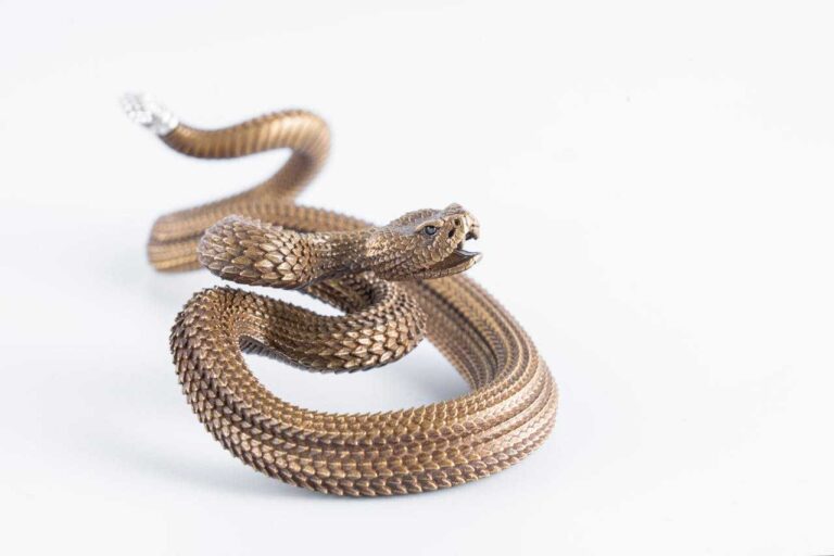 A Sign of Healing and Life — Today Daily Devotional