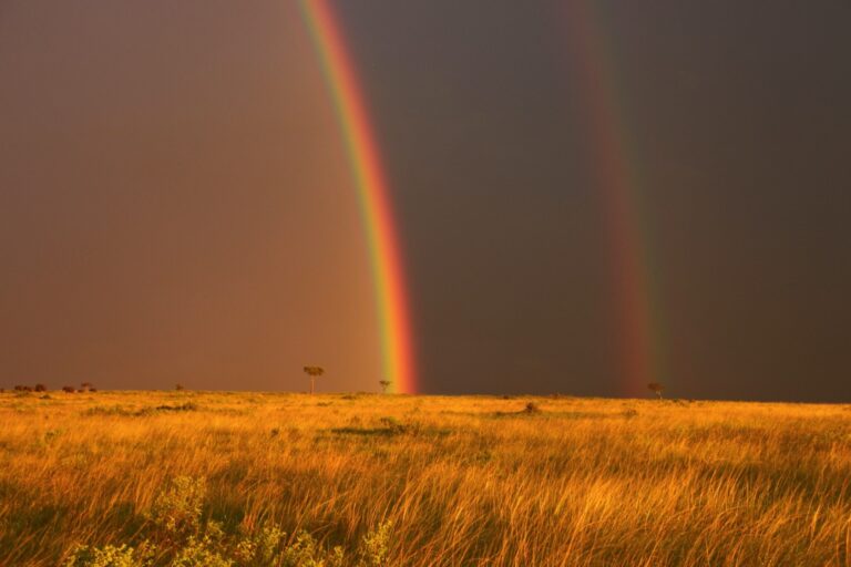 After the Flood — Today Daily Devotional