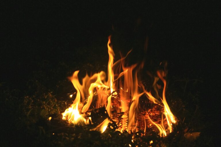At the Burning Bush — Today Daily Devotional