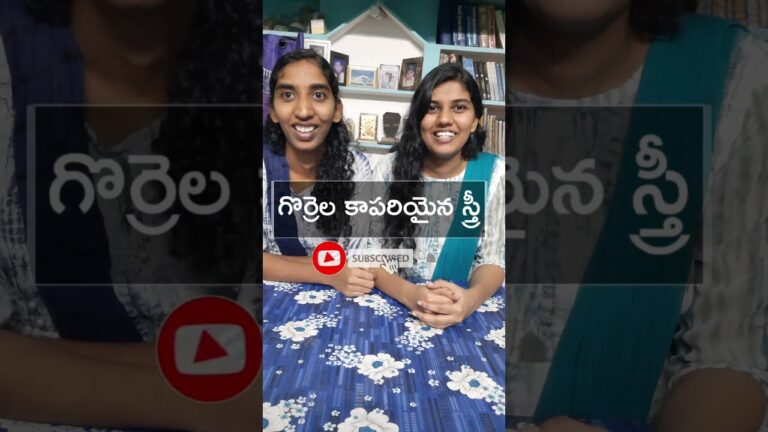 Bible Questions Part-1  #biblegames #challenge #telugubible #christian