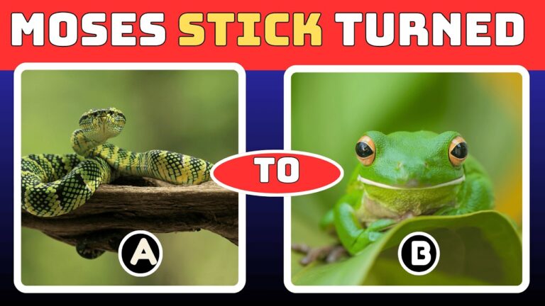 Bible quiz | for Kids General Bible Trivia A or B Bible Questions for Kids Bible quiz | for Kids General Bible Trivia A or B Bible Questions for Kids