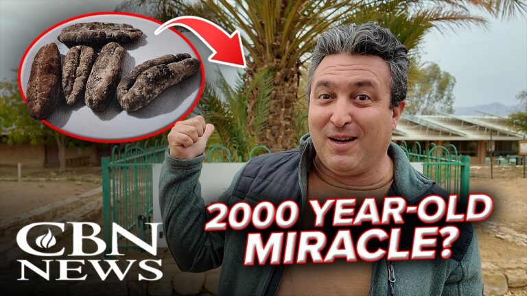 Biblical Fruit Reappears in Israel After 2,000 Years