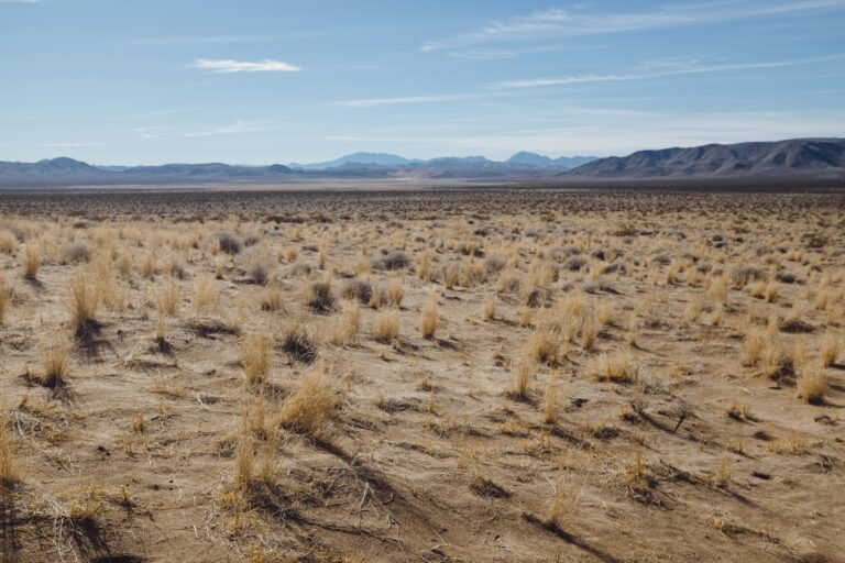 From the Palace to the Wilderness — Today Daily Devotional