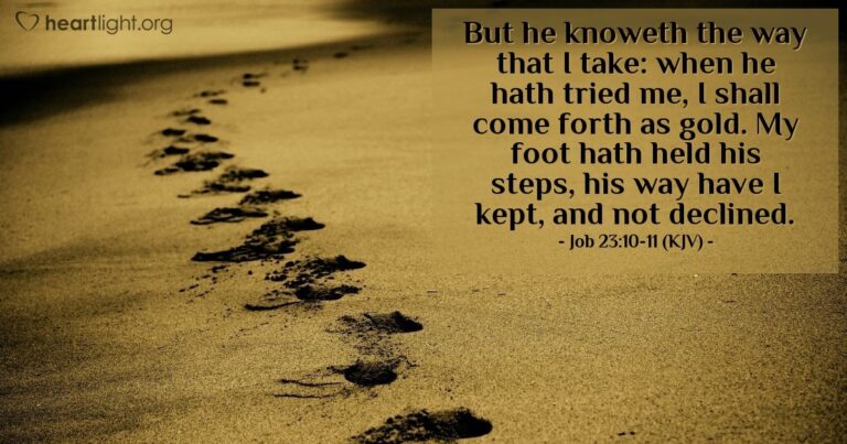 Job 23:10-11 (KJV) — Today's Verse for Monday, March 2, 2026