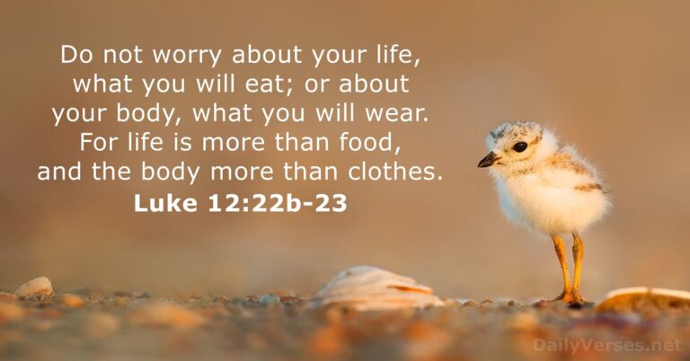 March 19, 2026 – Bible verse of the day Luke 12:22b-23