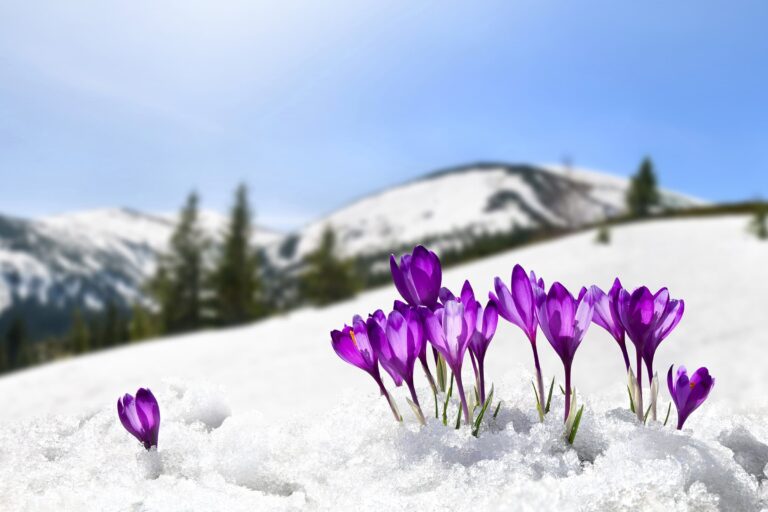 March 2026 - WordPoints Report