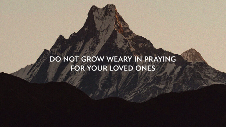 The Treasury Of Snow