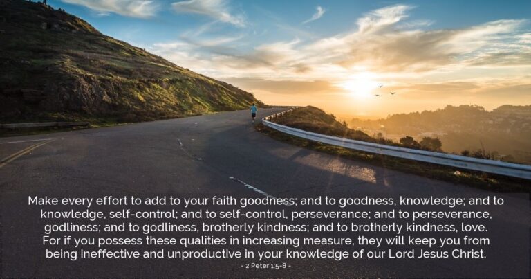Today's Verse - 2 Peter 1:5-8