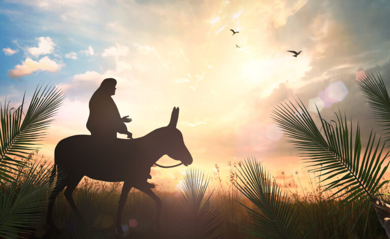 Why did Jesus ride on a donkey? Why did Jesus ride on a donkey?