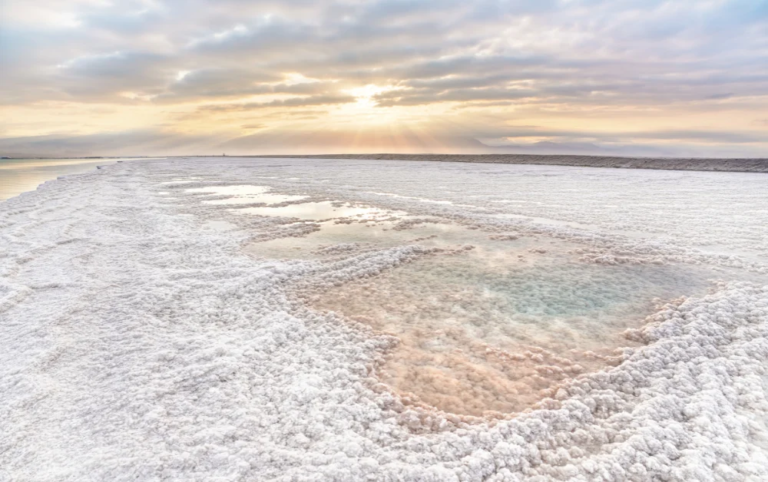 You are the Salt of the Earth