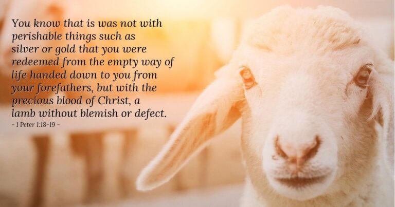 1 Peter 1:18-19 — Today's Verse for Friday, April 24, 2026