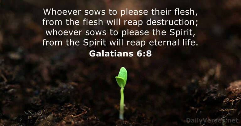Galatians 6:8