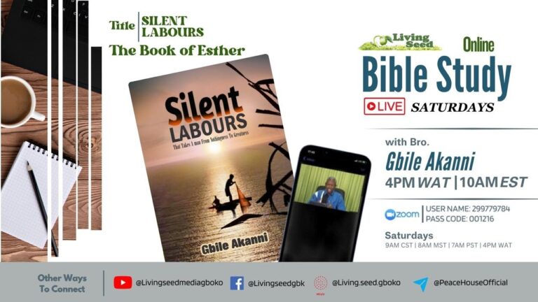 Bible Study 06 - Bro Gbile Akanni - Silent Labours - The Book Of Esther Chap 1&2 (Panel Discussion)