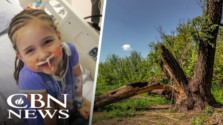 'I Went to Heaven': Little Girl Claims She Met Jesus, Her Miraculous Healing Has Been Verified