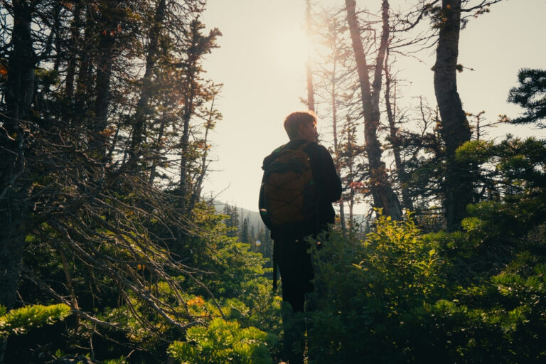 More of God’s Surprising Work