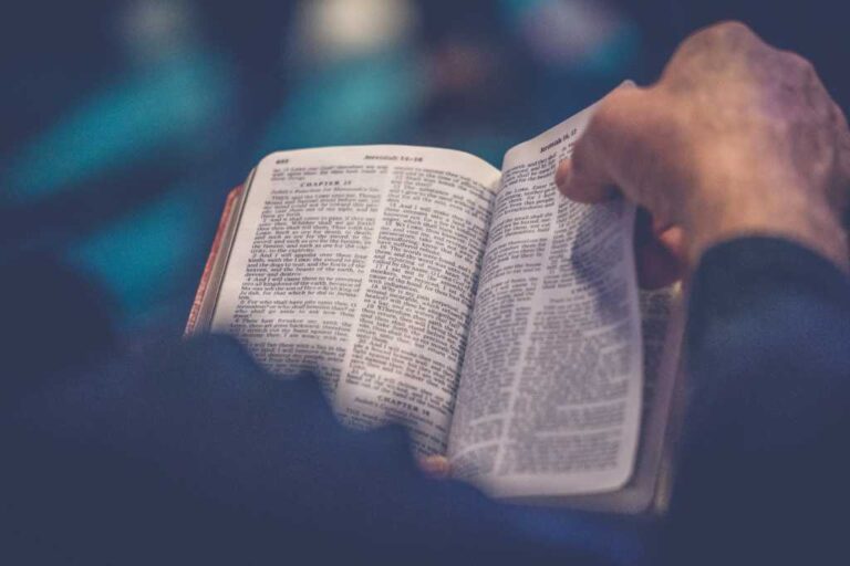 Nearly Half of Americans Are Bible Readers - Here's How Much Scripture They Have Read