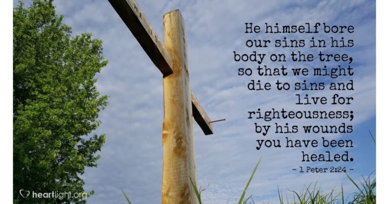 Today's Verse - 1 Peter 2:24