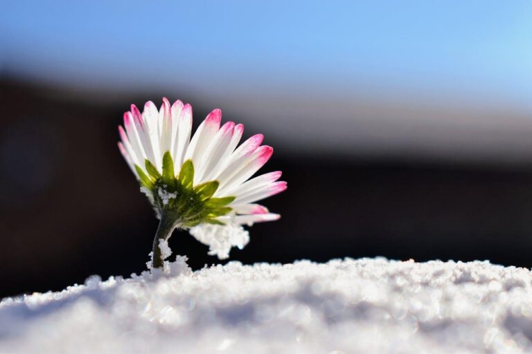 Wait . . . What!?! — Today Daily Devotional