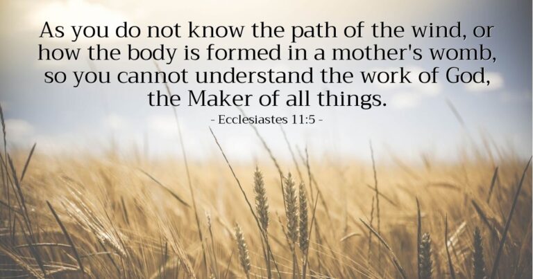 Ecclesiastes 11:5 — Today's Verse for Friday, May 15, 2026