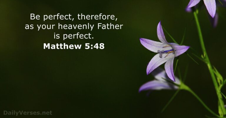 Matthew 5:48